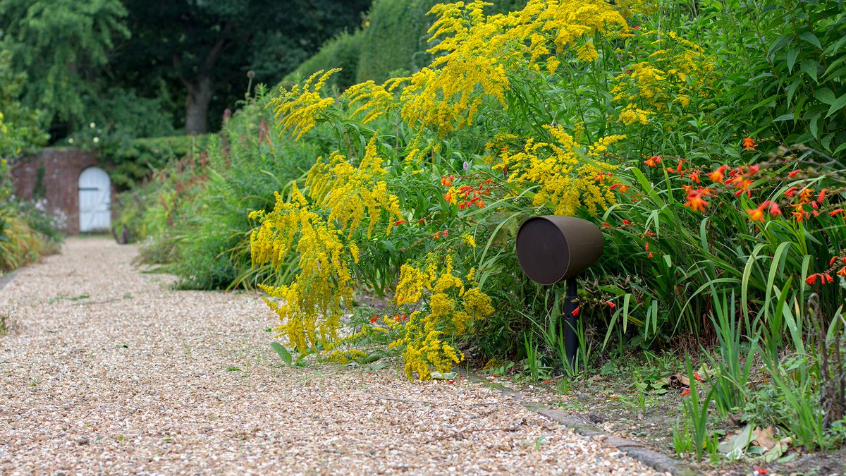 Monitor Audio tweet media