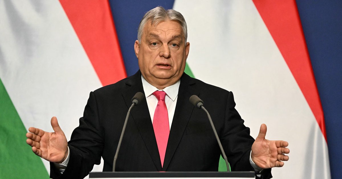 Mario Nawfal tweet media