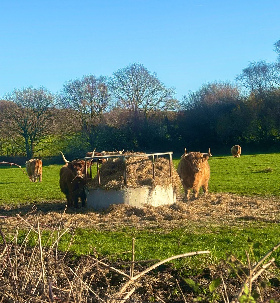 Sophie Meaden tweet media