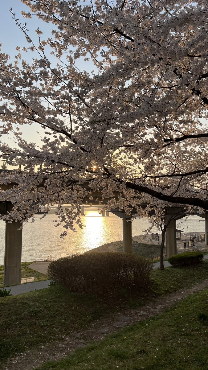 leeyoononnie. ✨ลียุ๊นนน tweet media