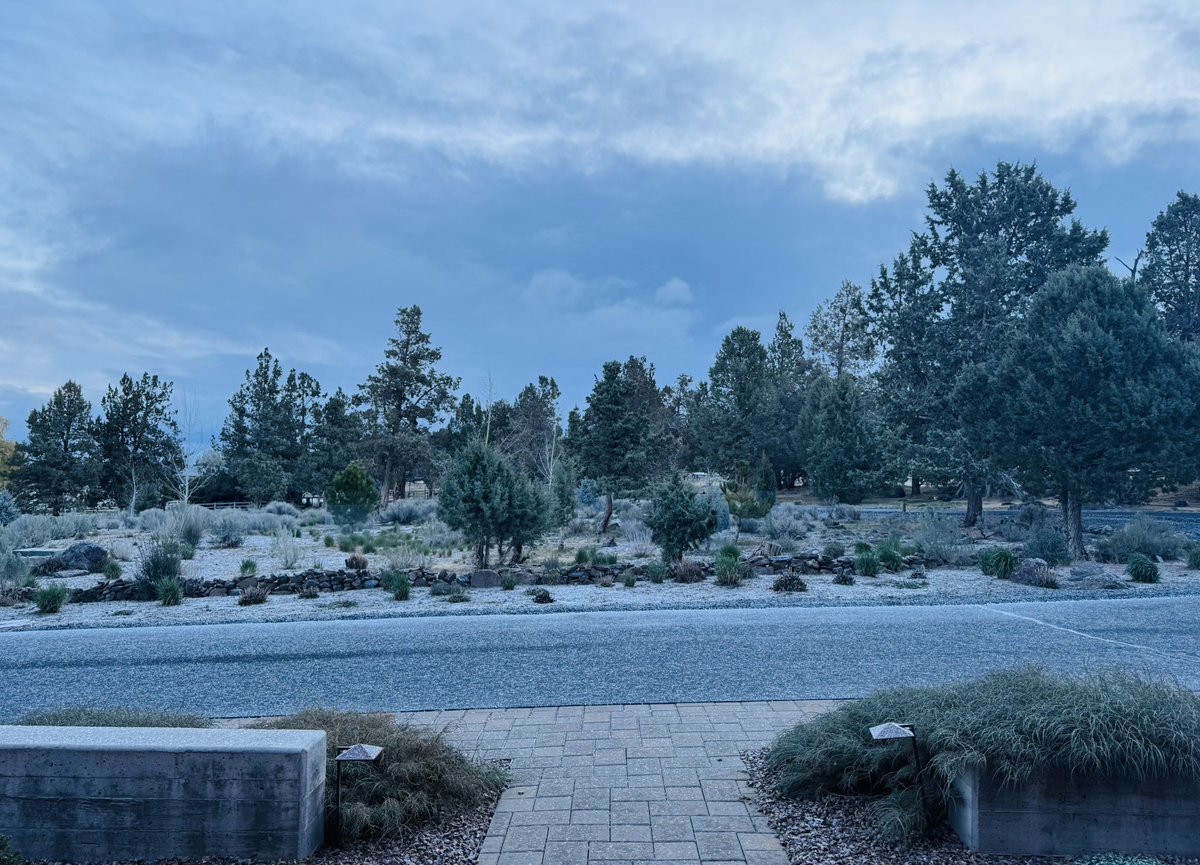 Corey duBrowa tweet media