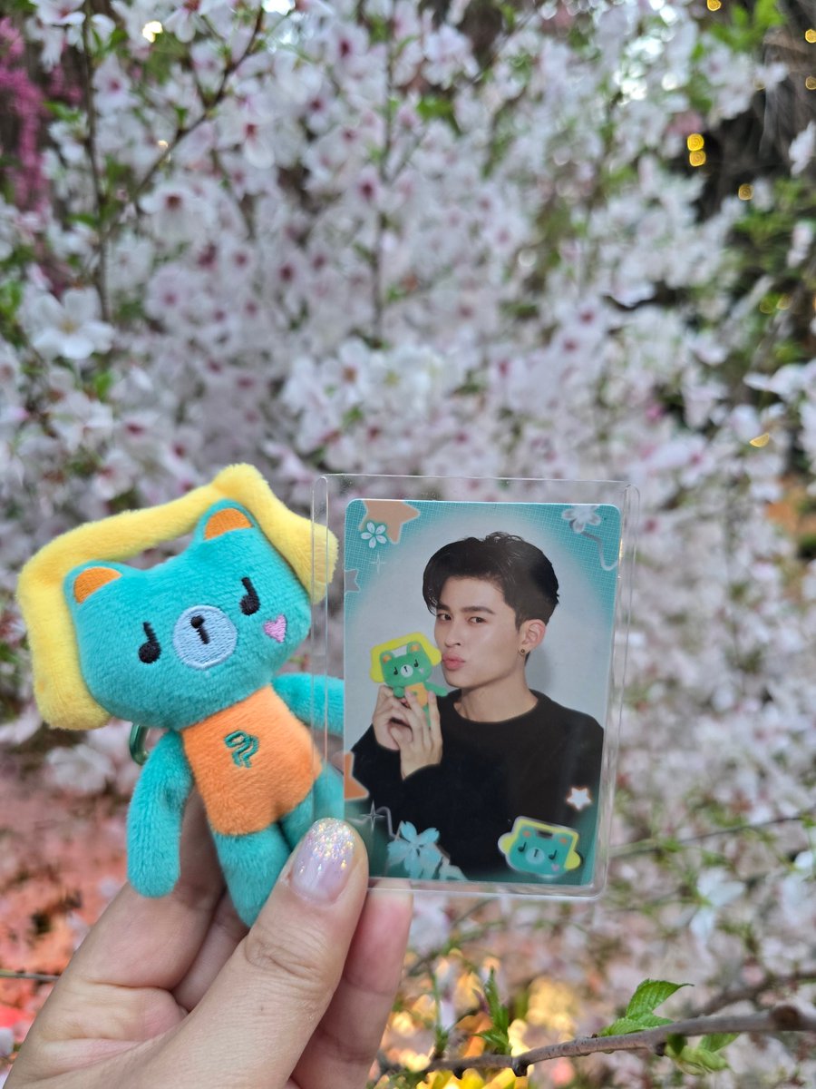 MINI🍞🥑🥦🐺 tweet media