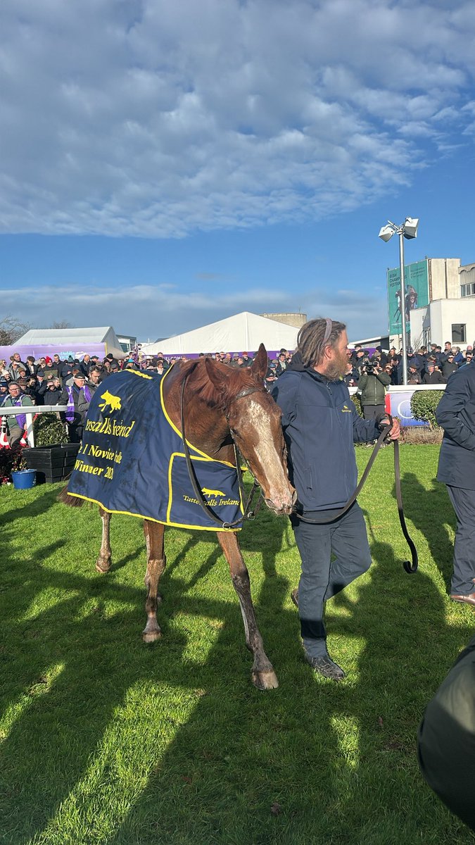 Niall Tierney tweet media