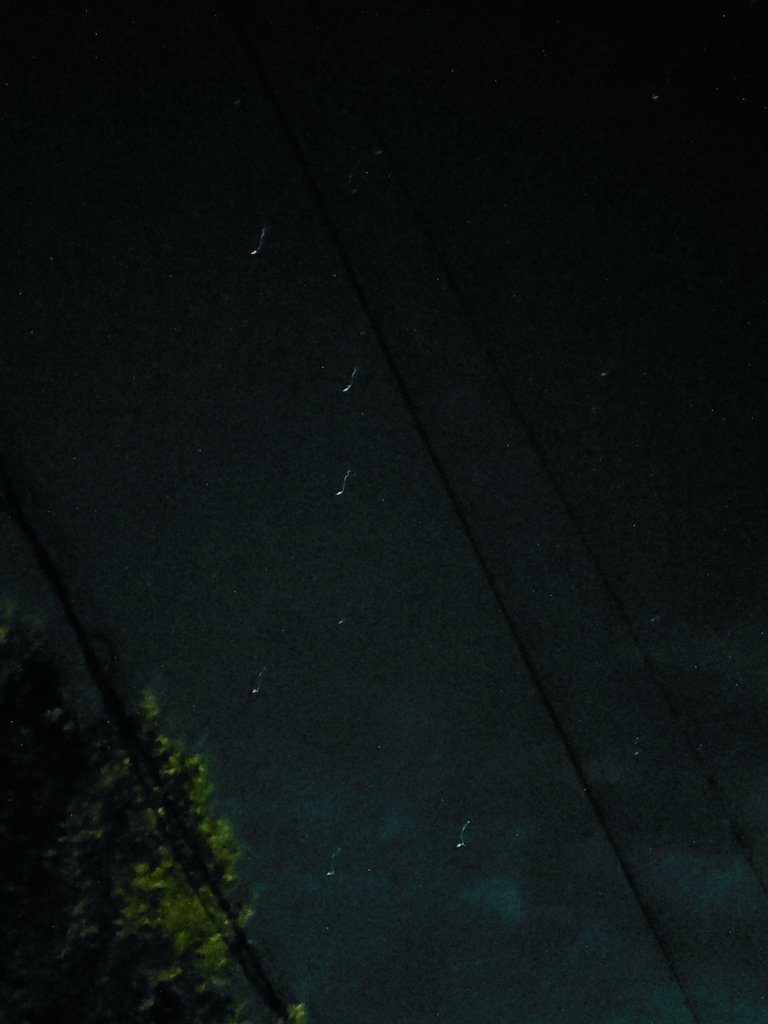 마이너한버그 tweet media