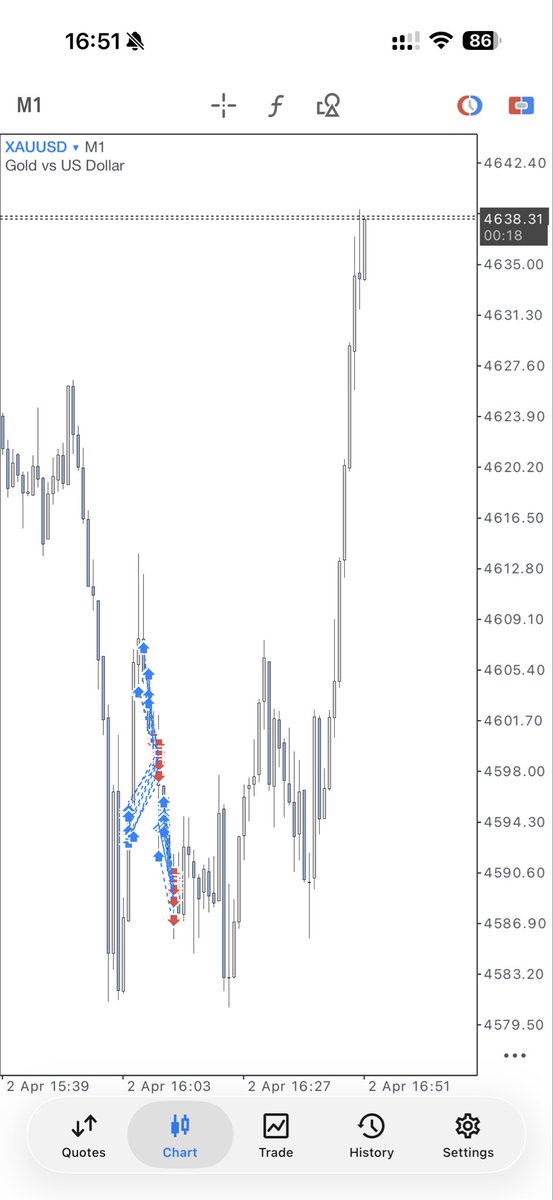 Flip with 200$ not successful