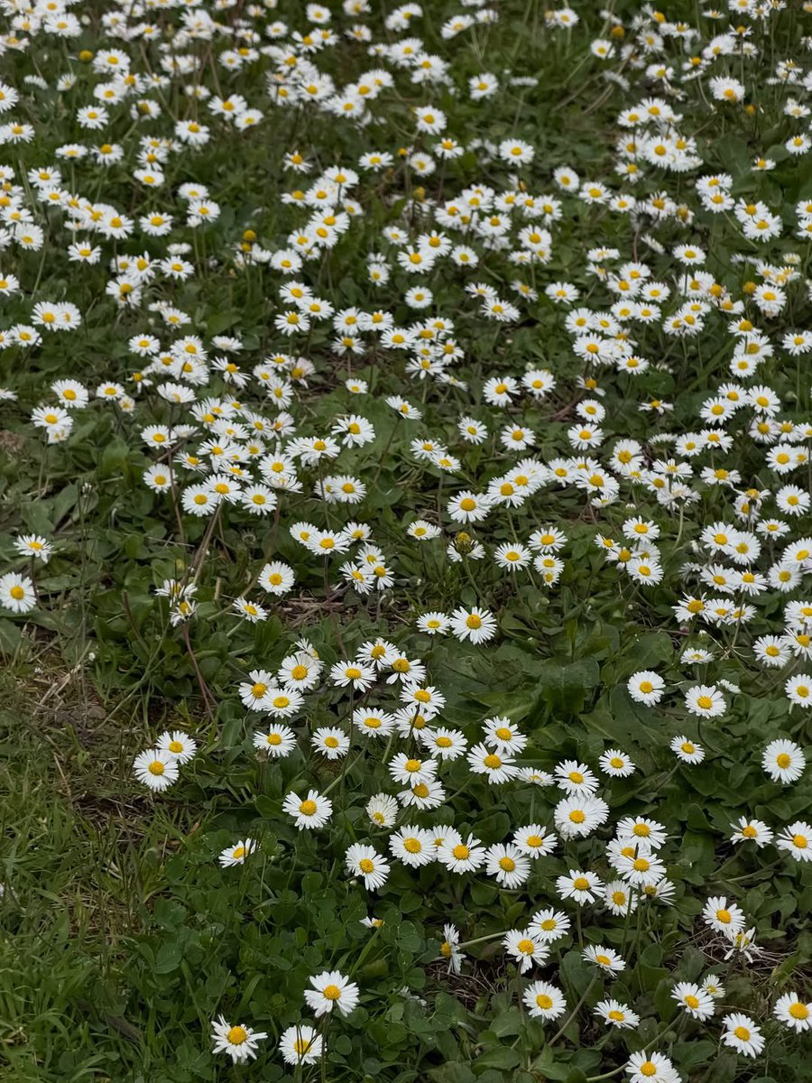 FREEN OFFICIAL tweet media