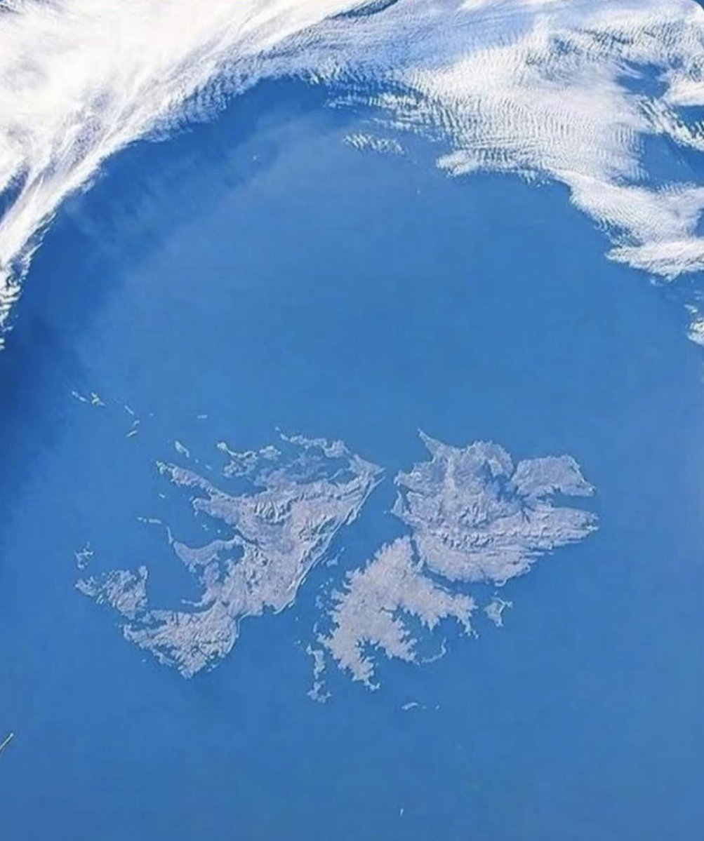 Oh! me ρ tweet media