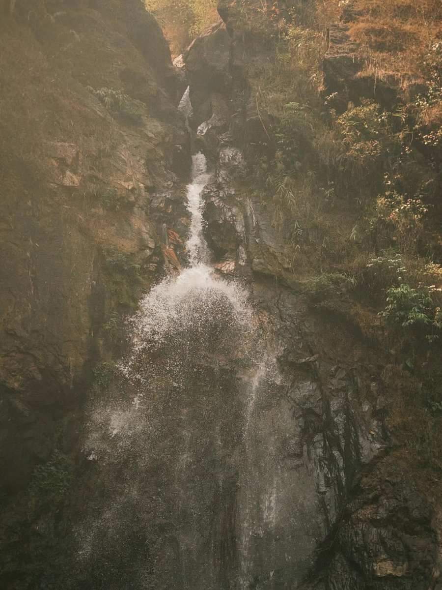 🌸lililiaaa🌸 tweet media