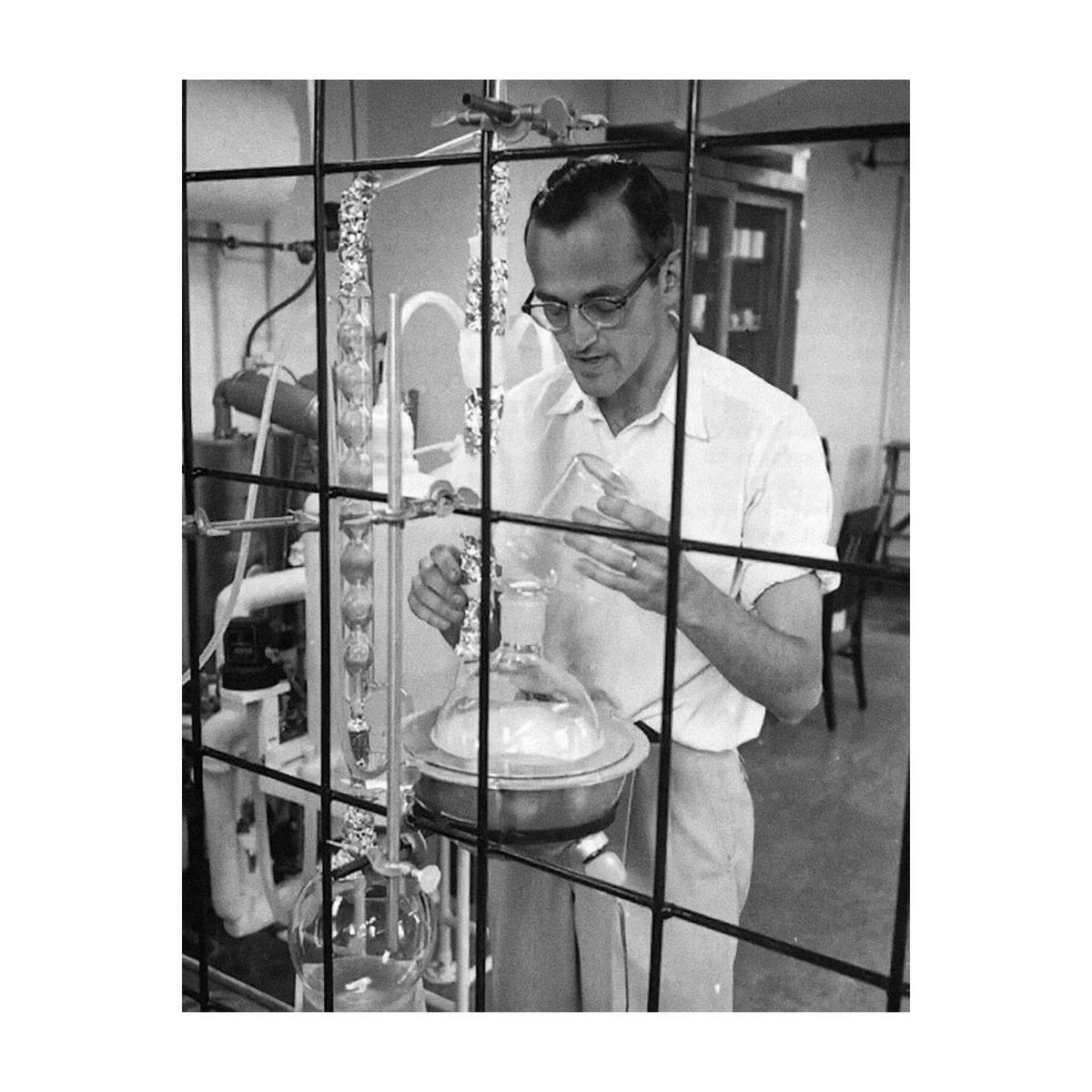 雑学をまとめる犬 tweet media