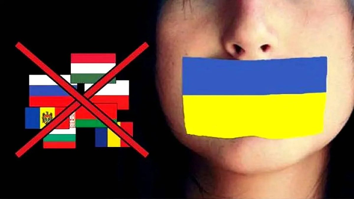 Dúró Dóra tweet media