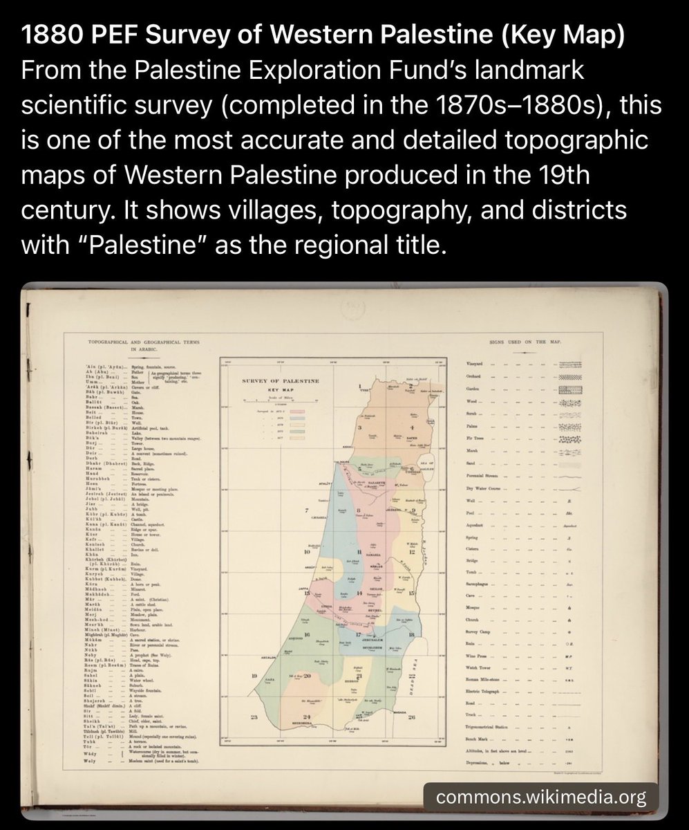 WhiteSage tweet media