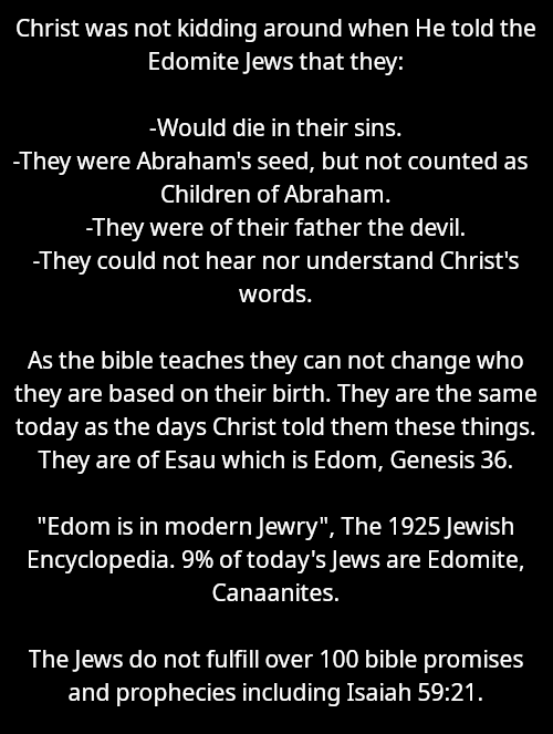 Tim Coucke tweet media