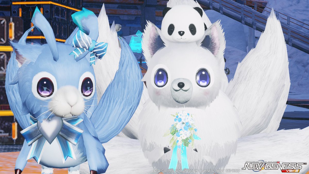 狐のコロナ tweet media