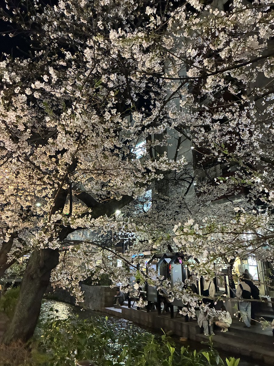 高橋紘介 tweet media