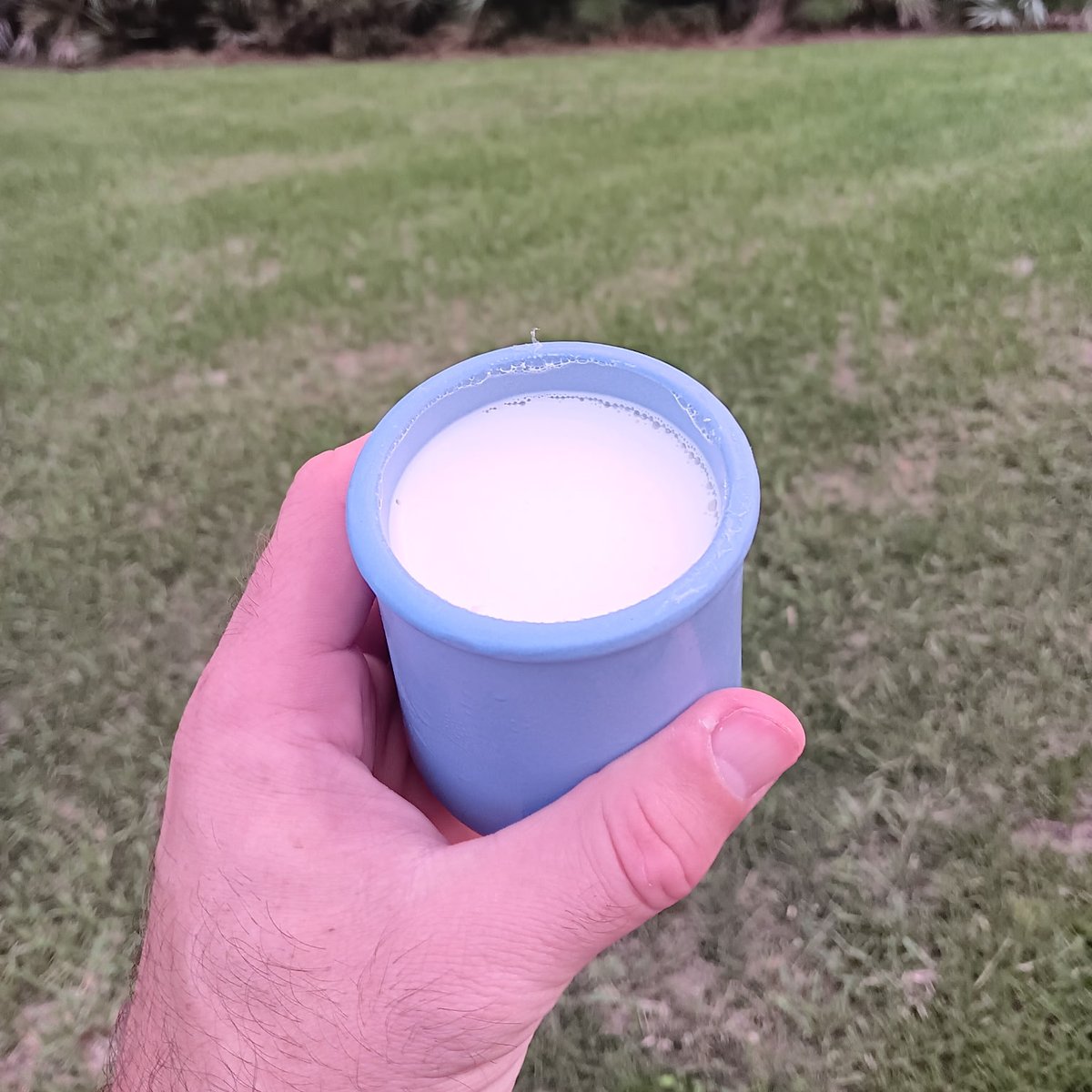 rektdiomedes tweet media