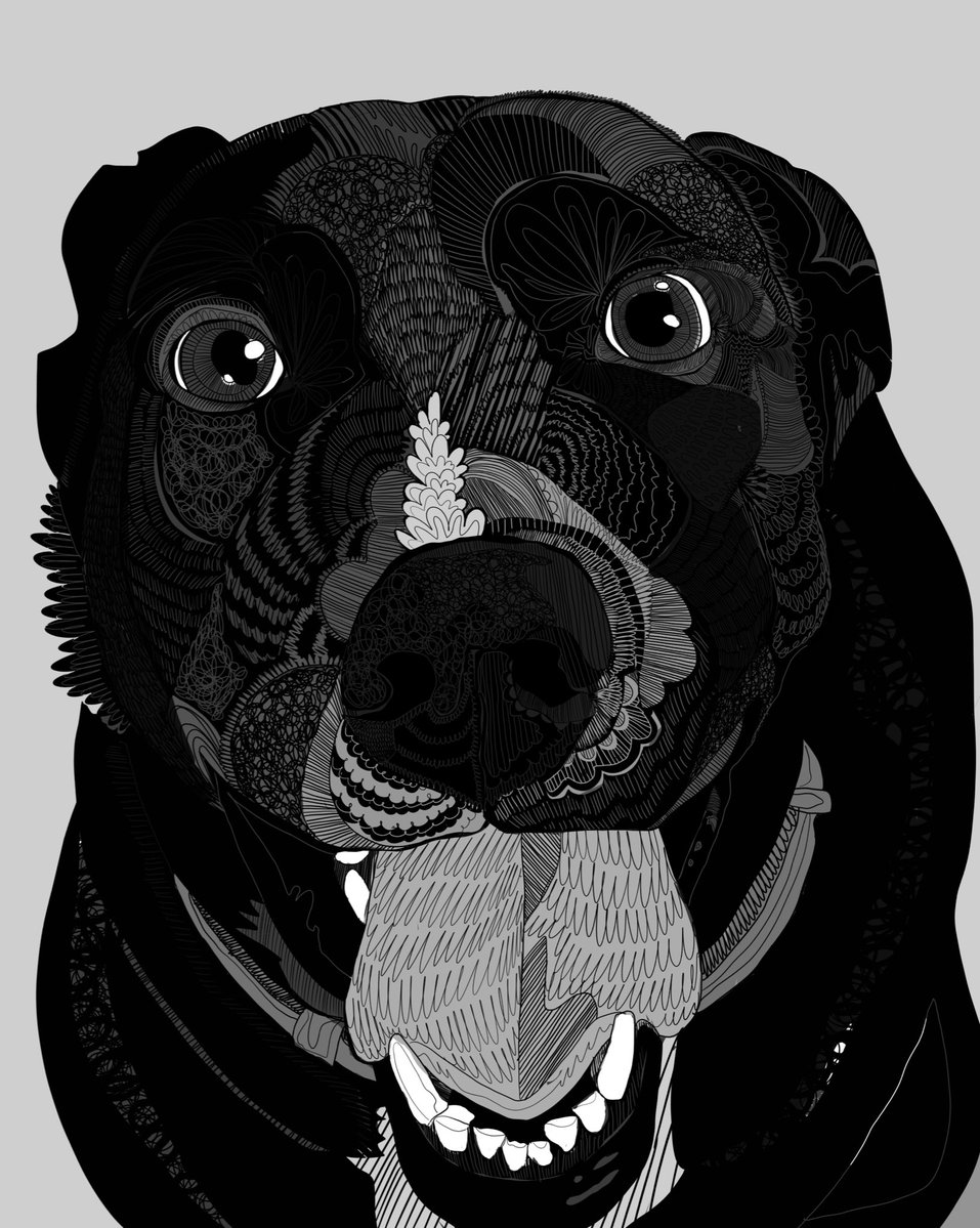 Soppy (fresh out of IP) tweet media