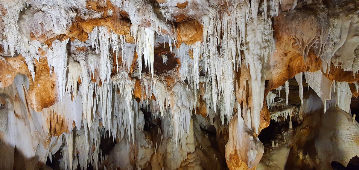 𝔠𝔯𝔦𝔰 tweet media