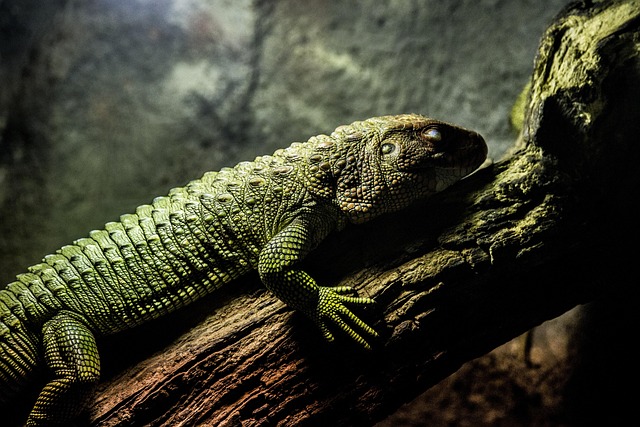 AlexGasper19416's tweet image. 네가 친구라서 고마워 Elio cảm ơn vì 🌙 đã tin vào mình شكراً لوقتك واهتمامك

#Disruptors