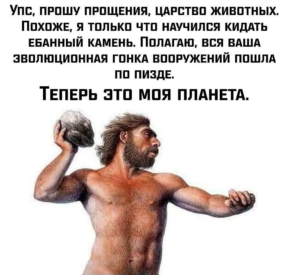 Caeruleum tweet media