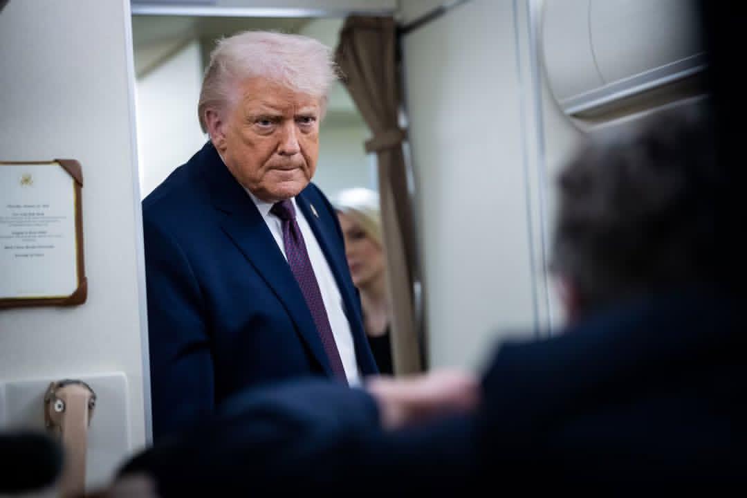 Ava🇱🇷🇬🇧 tweet media