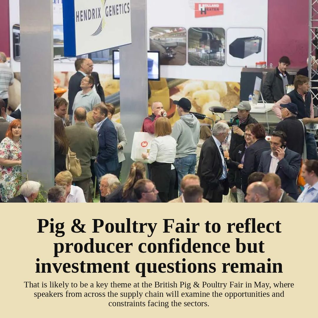 Poultry.Network tweet media