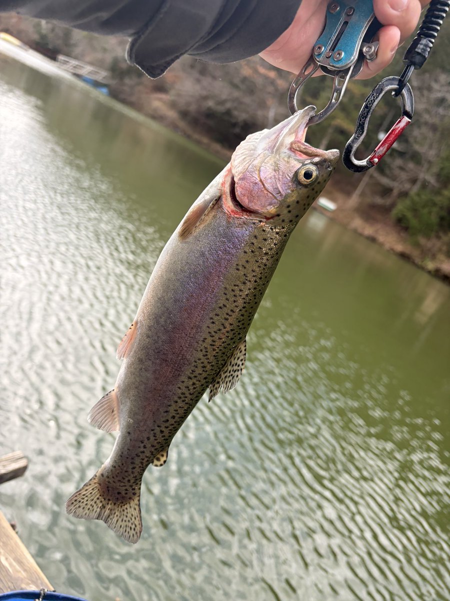 なにわの釣り吉三平 tweet media