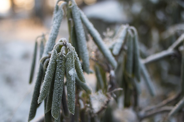 Allie White tweet media