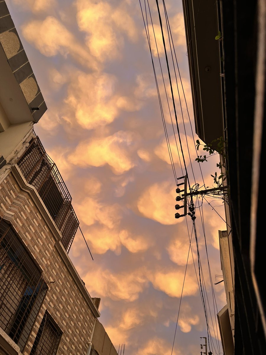 ִ ࣪𖤐 mahi the wizard 🧷 tweet media