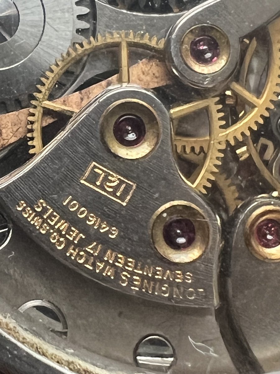 importlife_portland_2002.avi tweet media