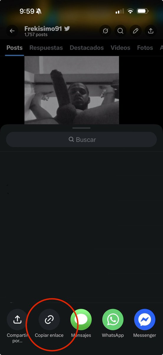 Frekisimo91  tweet media