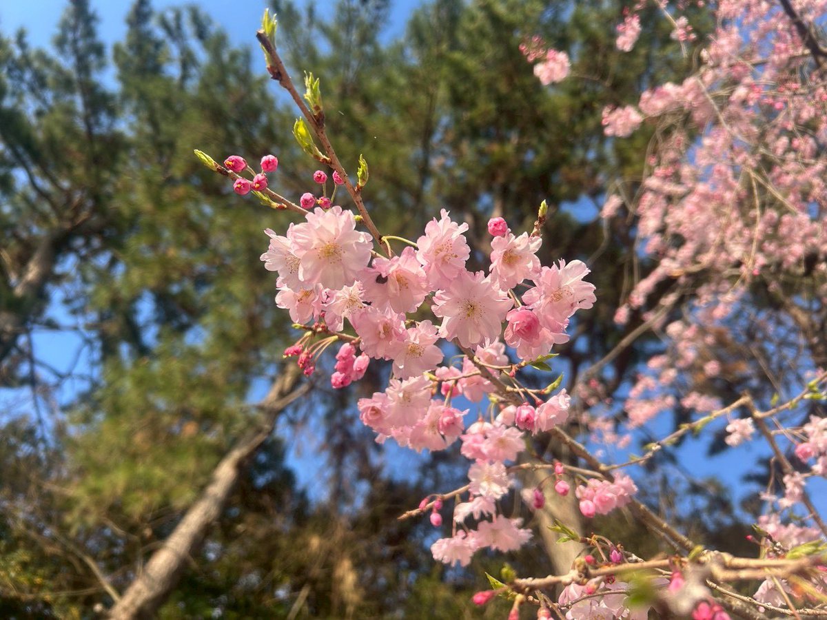 𝘺𝘶𝘬𝘢🫧 tweet media