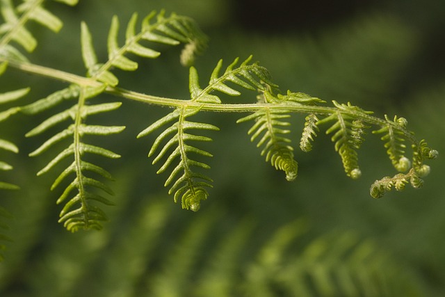 Diana Garner tweet media