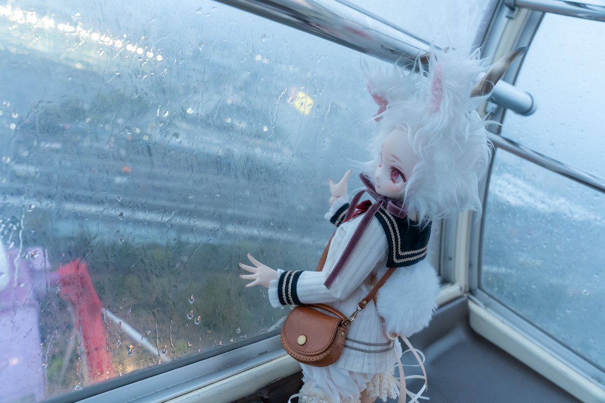 りょうぼう tweet media