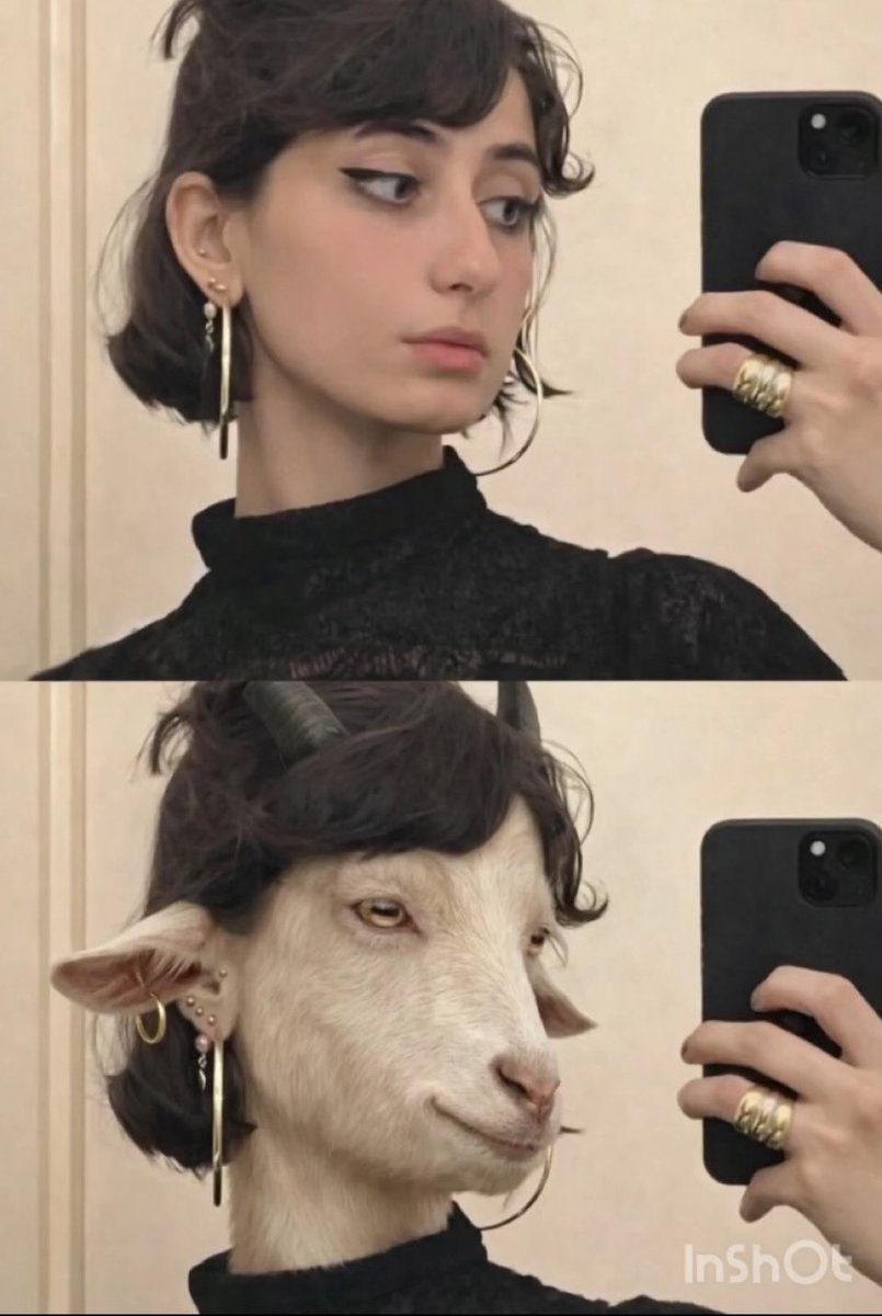 🇺🇸Roger Bernards🍊 tweet media