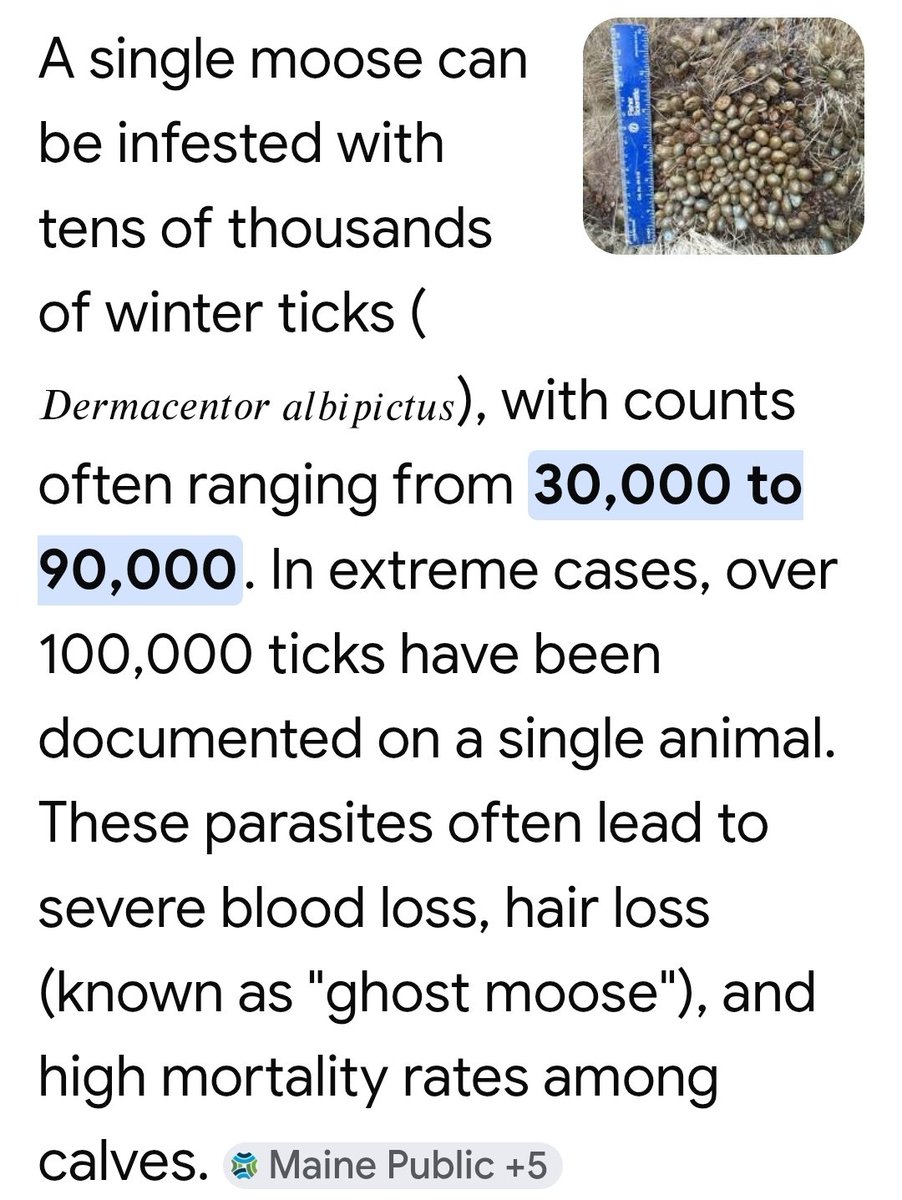 ProudMilitaryMom tweet media