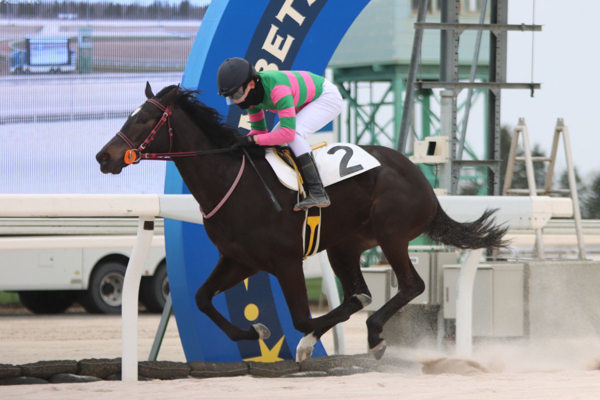がんばれ！ホッカイドウ競馬 tweet media