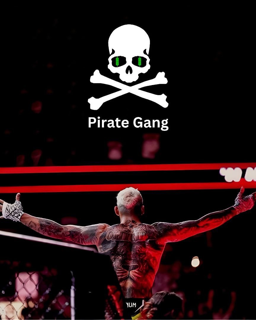 Pirate Gang 🏴‍☠️ tweet media