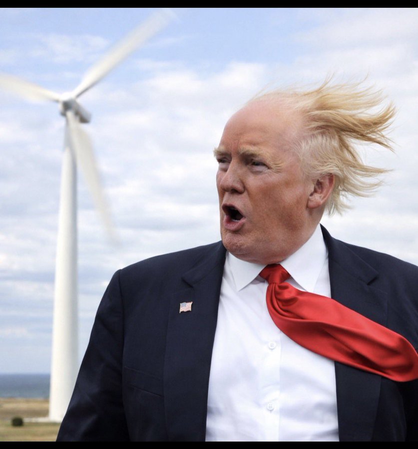 Mr_Brightside tweet media