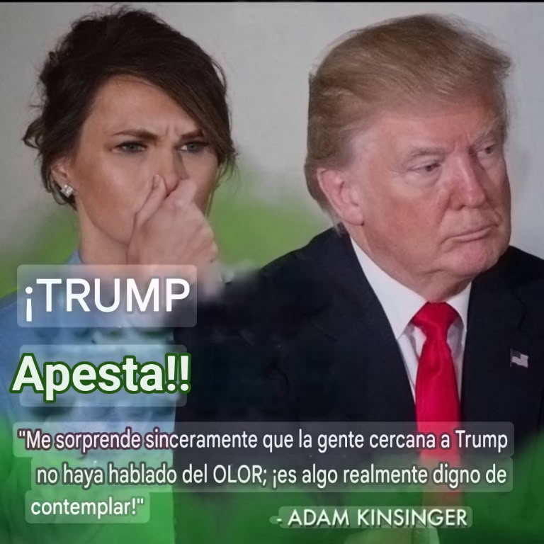 Mr_Brightside tweet media