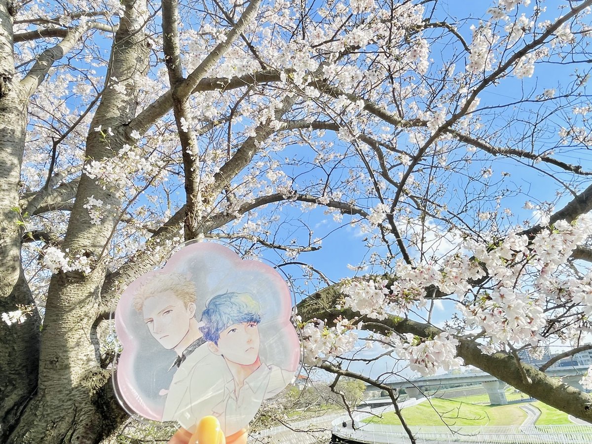 くーたも tweet media