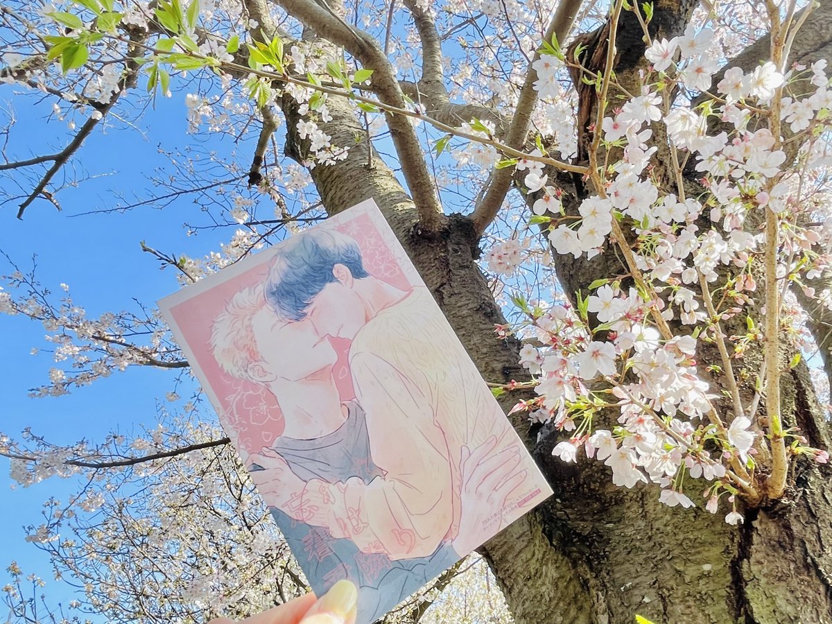 くーたも tweet media