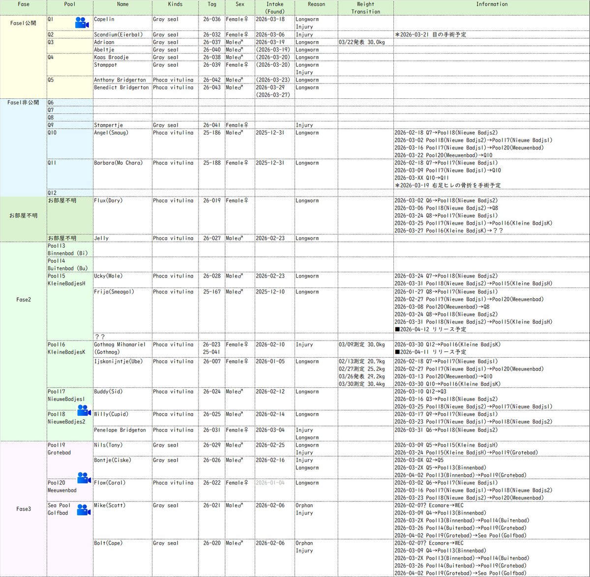 アザラシ情報 tweet media