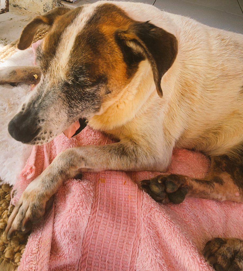 DKAstrology 🇭🇺🇯🇲🙏✨ tweet media