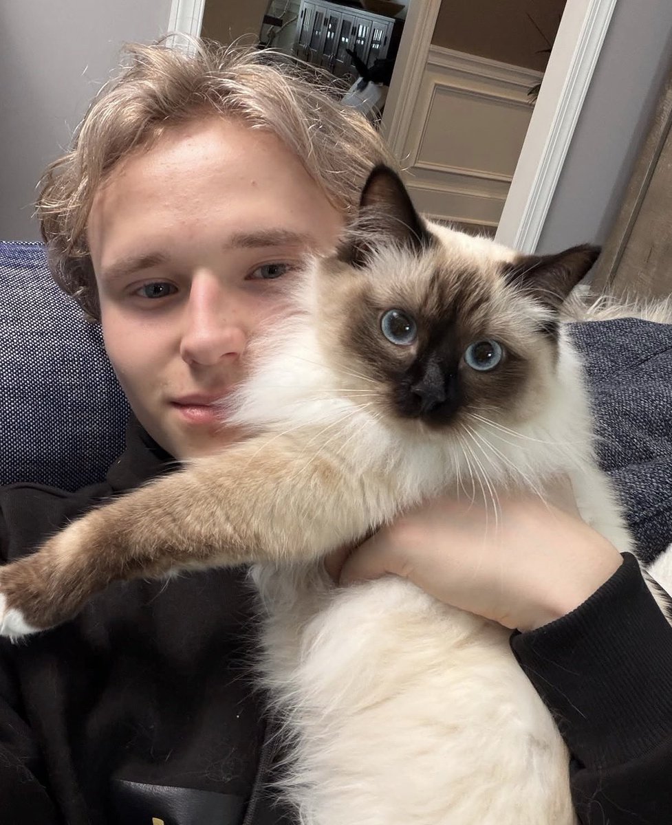 rachel 🦀 tweet media