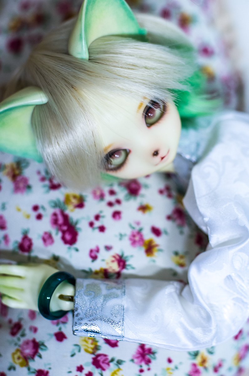 らるか tweet media