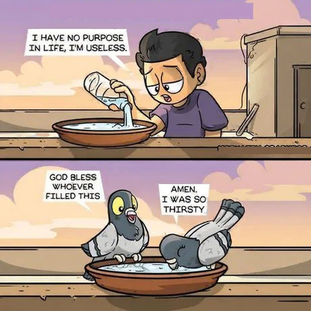 TheGoldlore's tweet photo. He thought he was useless... until the pigeons said "Amen" 😭🙏💧
#wholesomememes #kindnessmatters #smallactsofkindness #findingpurpose #pigeons #feelgood #positivity https://t.co/eyJBHKMlm6