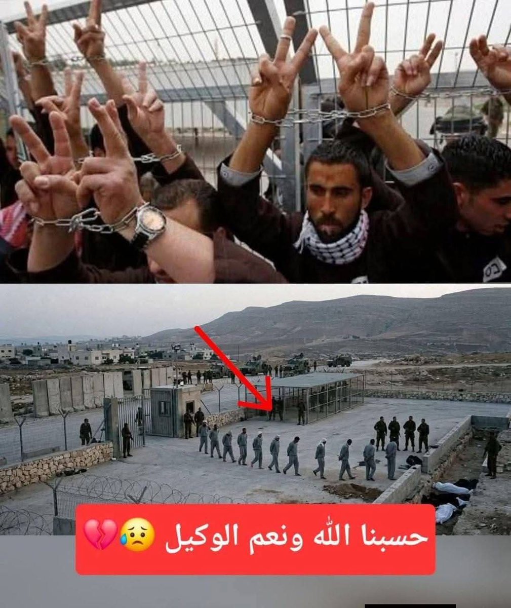 SharifMedia4's tweet photo. #هزاران اسیر فلسطینی اعدام میشوند   
میليون ها نفرخوابیده است.
صدای لافوک ها اسلامی خاموش است.  
.! کجاست غیرت؟ کجاست یاری؟ کجاست دعا
ای امت مسلیمه شب برخیزیم به حق مظلومان فلسطین نماز بخوانیم گریه کنیم 
دیگر چیزی از دست ما نیست . https://t.co/O4Vipud4IS