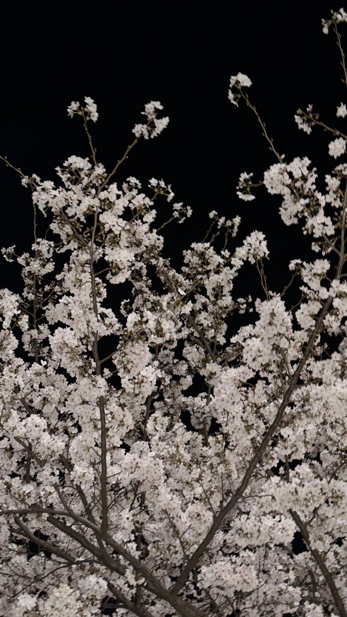 쉬발점 tweet media