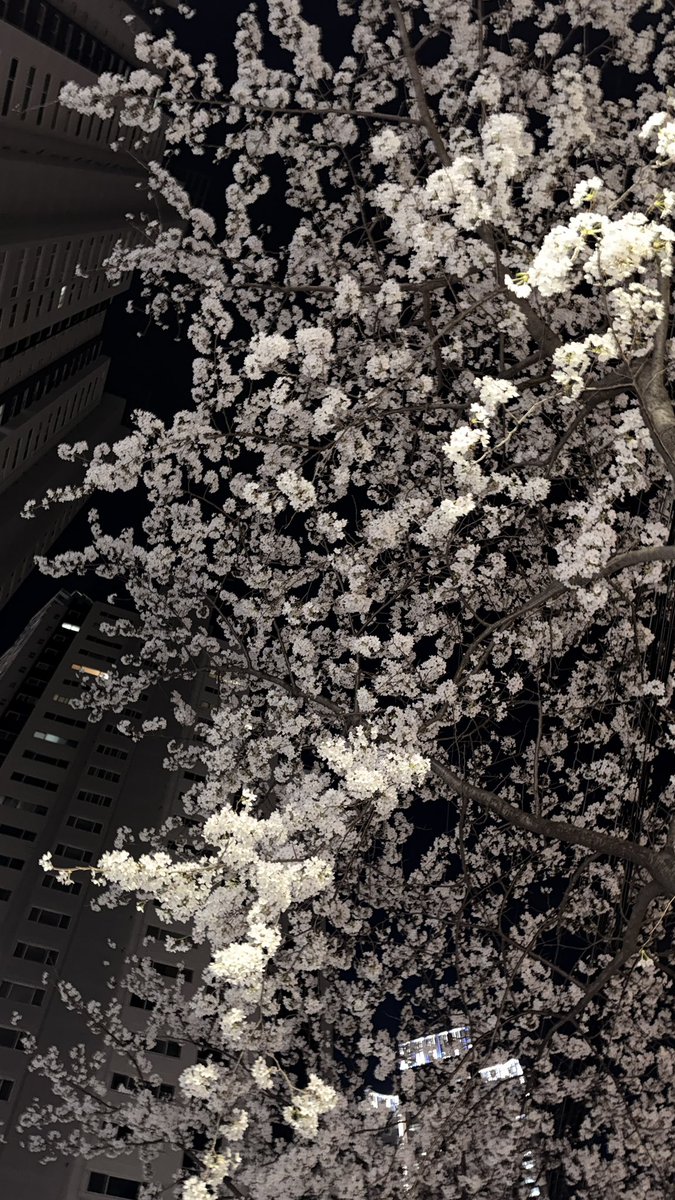 쉬발점 tweet media