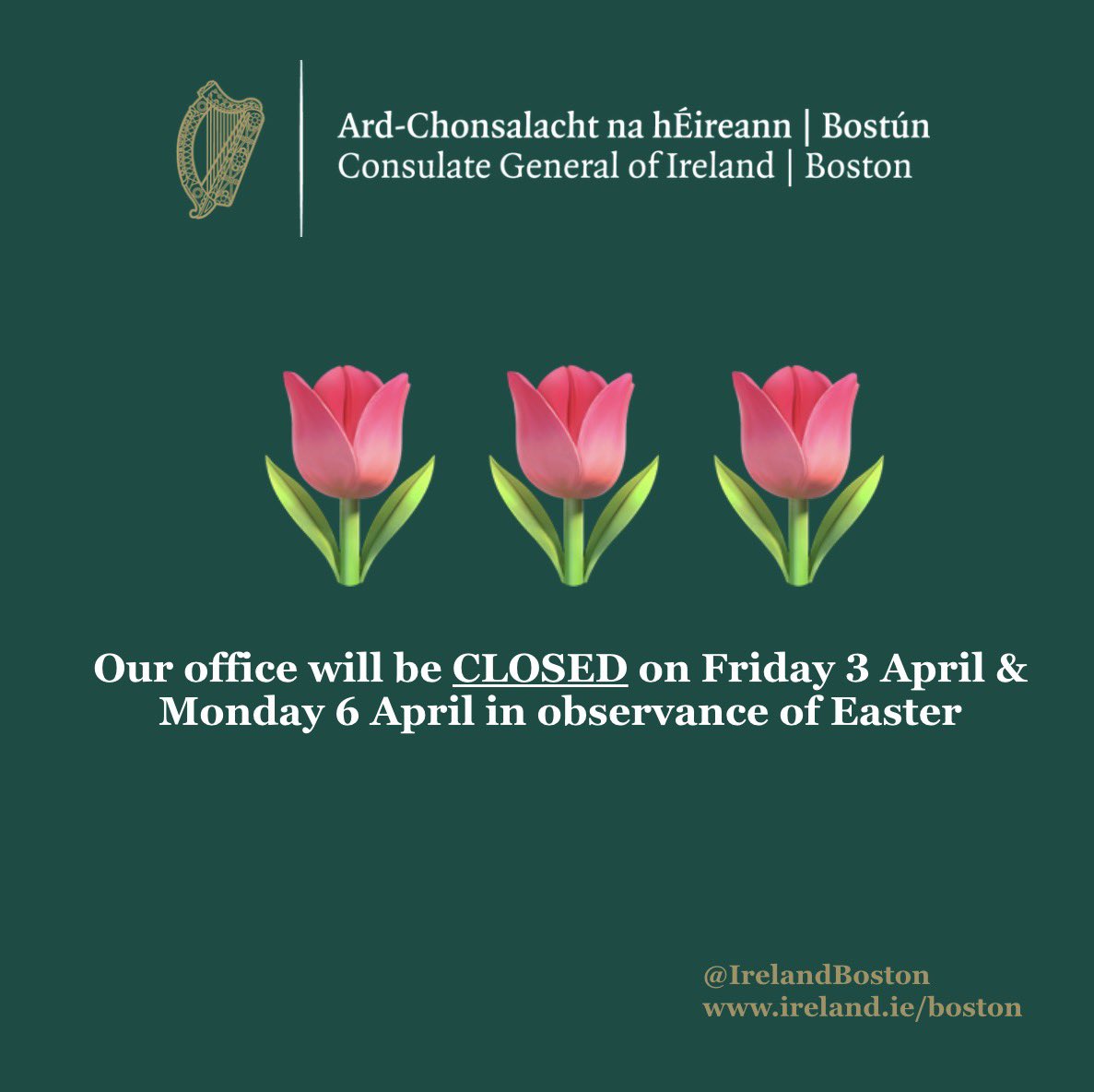 Irish Consulate Boston tweet media